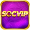Logo Socvip